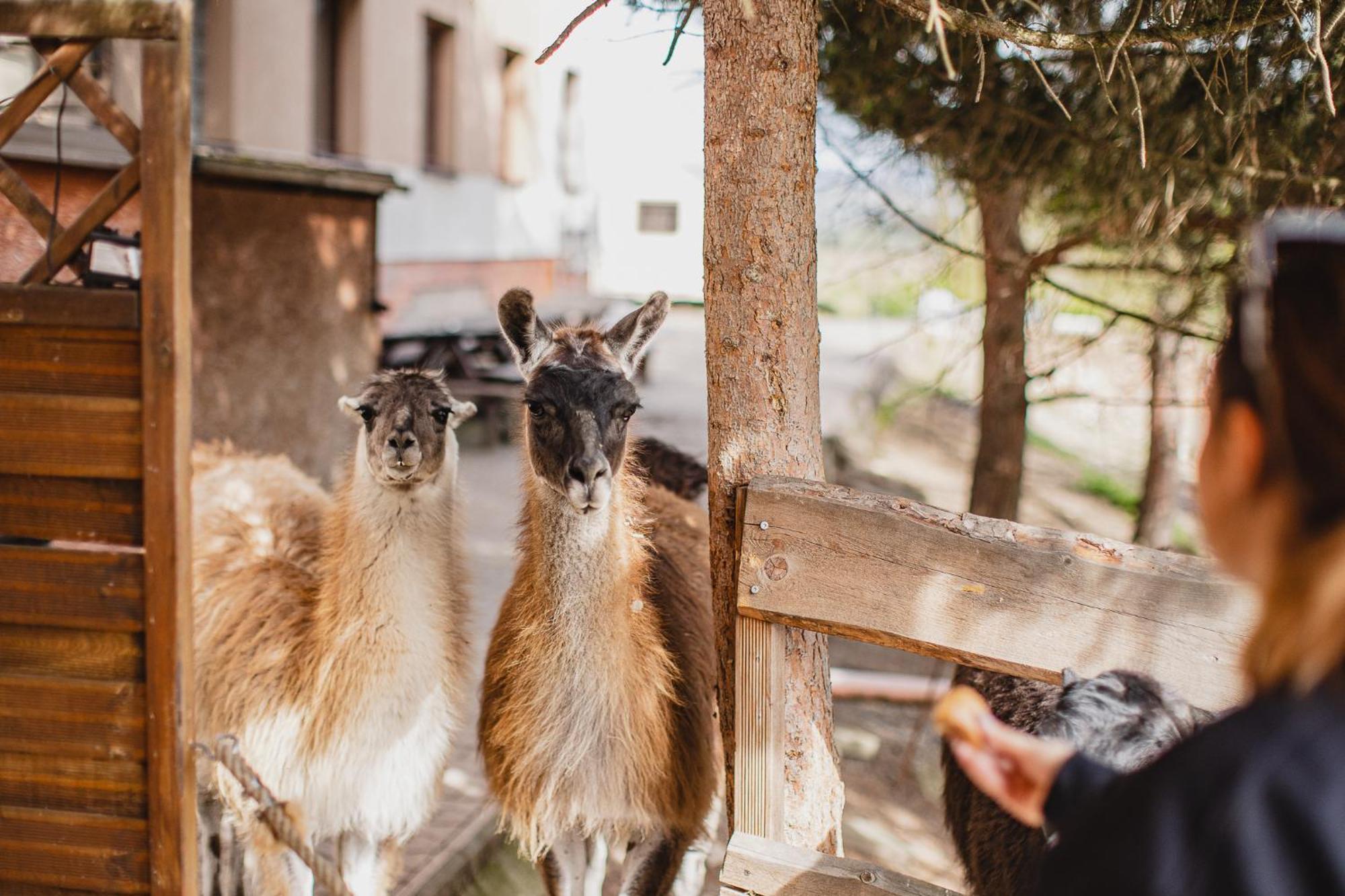 Hotel Rozkos Česká Skalice Esterno foto